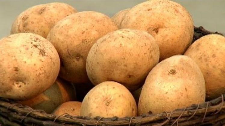 Pommes de Béceleuf  Producteur de variété Clochard